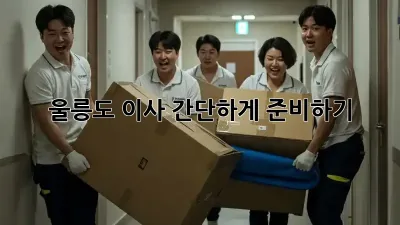 울릉도 이사, 간단하게 준비하기!