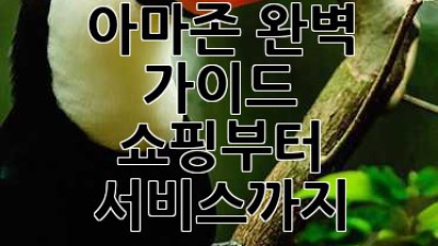 아마존 완벽 가이드: 쇼핑부터 서비스까지!