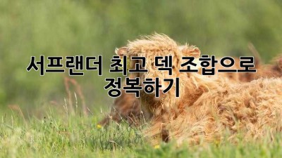 서프랜더 최고 덱 조합으로 정복하기!